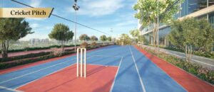 Aspirz Danube - Cricket pitch
